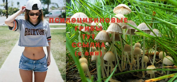 МДПВ Арсеньев