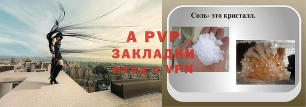 прущие грибы Аркадак