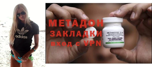 прущие грибы Аркадак
