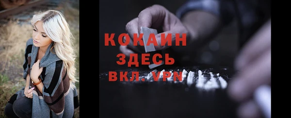 прущие грибы Аркадак