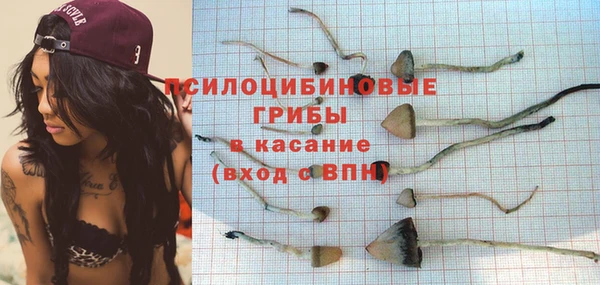 хмурый Армянск
