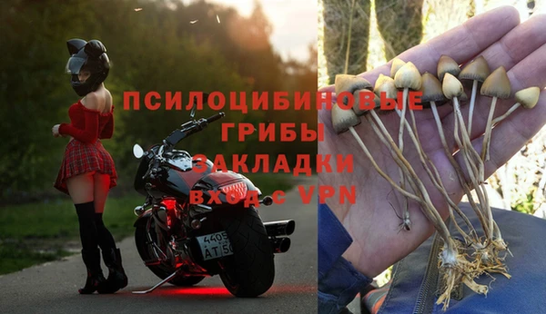 хмурый Армянск