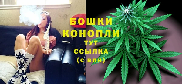прущие грибы Аркадак