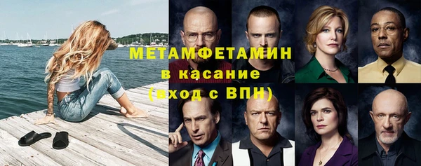 прущие грибы Аркадак