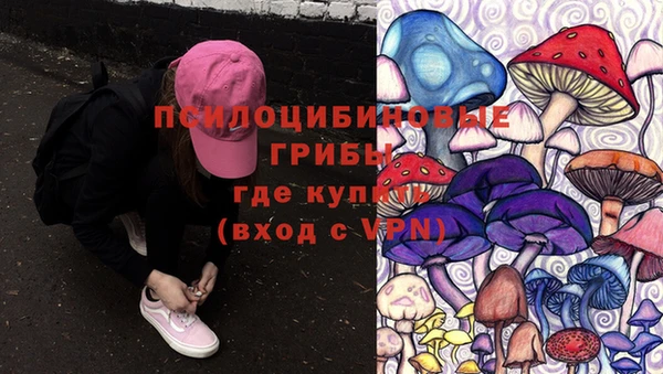 mdpv Балахна