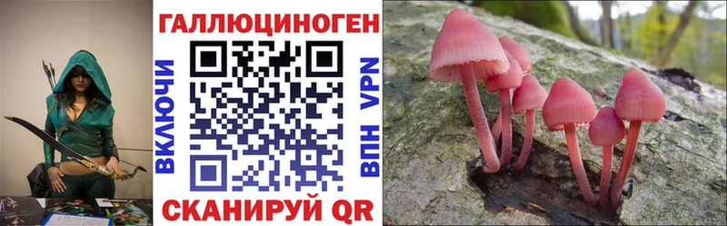где купить наркоту  Узловая  Псилоцибиновые грибы ЛСД 